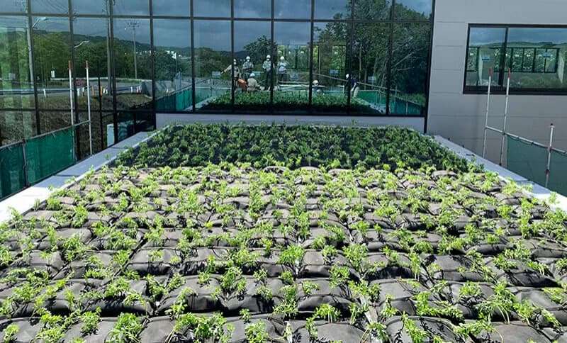 ファスナーが拓く失敗しない屋上緑化システム