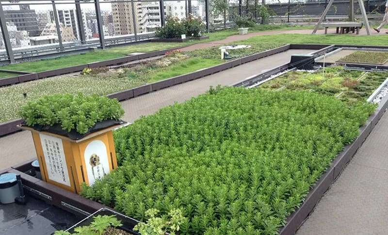 ファスナーが拓く失敗しない屋上緑化システム