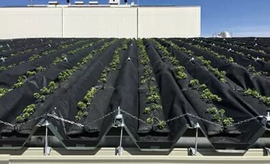 ファスナーが拓く失敗しない屋上緑化システム