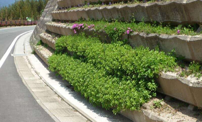 失敗する屋上緑化と、失敗しない屋上緑化がある