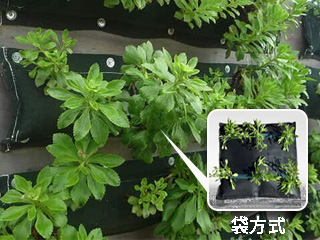 屋上・壁面・法面・擁壁・ソーラー・仮置き場+緑化