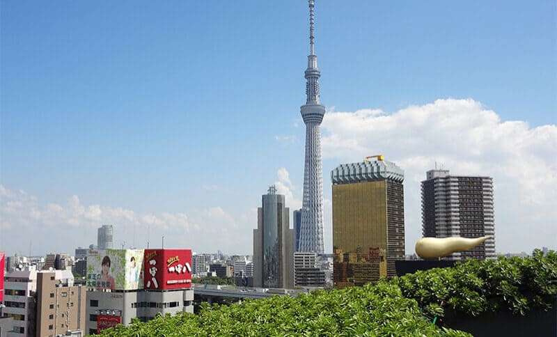 失敗しない屋上緑化システム「常緑キリンソウ袋方式」/株式会社緑化計画研究所