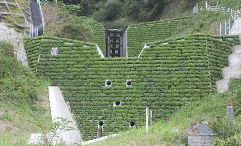 失敗しない屋上緑化システム「常緑キリンソウ袋方式」/株式会社緑化計画研究所