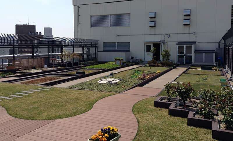 失敗しない屋上緑化システム「常緑キリンソウ袋方式」/株式会社緑化計画研究所