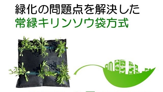 常緑キリンソウ袋方式 緑化の問題点を解決:屋上緑化/壁面緑化/法面緑化など(雨水でOK、雑草対策、土壌流出対策)