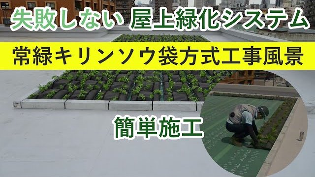 常緑キリンソウ袋方式工事の流れ 失敗しない屋上緑化システム/株式会社緑化計画研究所