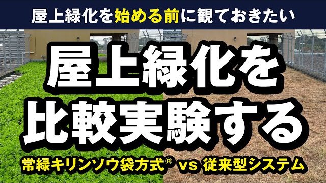 屋上緑化で失敗するリスクを減らす「常緑キリンソウ袋方式®」ガイアの夜明けで紹介されました。/株式会社緑化計画研究所