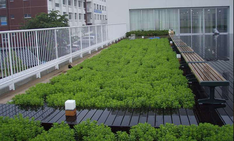 【園芸・装飾・インテリア】緑化システム 常緑キリンソウ袋方式®