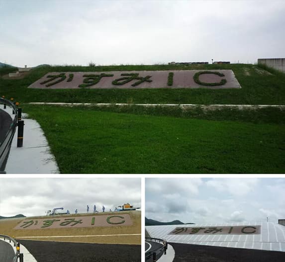 【園芸・装飾・インテリア】緑化システム 常緑キリンソウ袋方式®