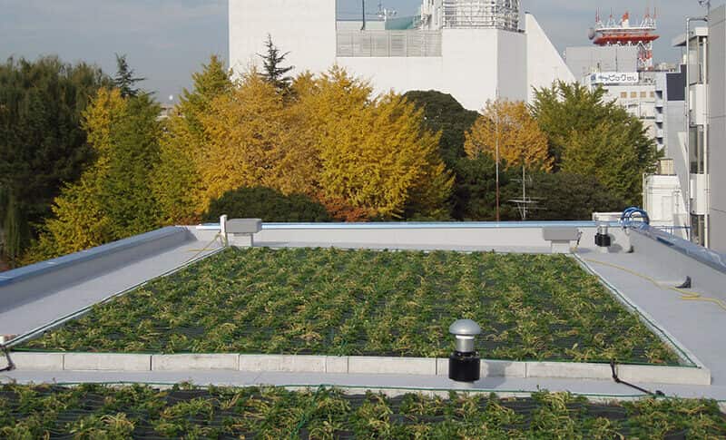 【園芸・装飾・インテリア】緑化システム 常緑キリンソウ袋方式®