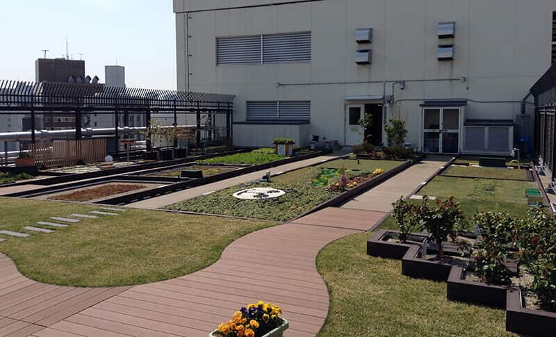 【園芸・装飾・インテリア】緑化システム 常緑キリンソウ袋方式®