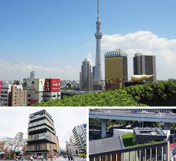 【緑化システム】常緑キリンソウ袋方式®