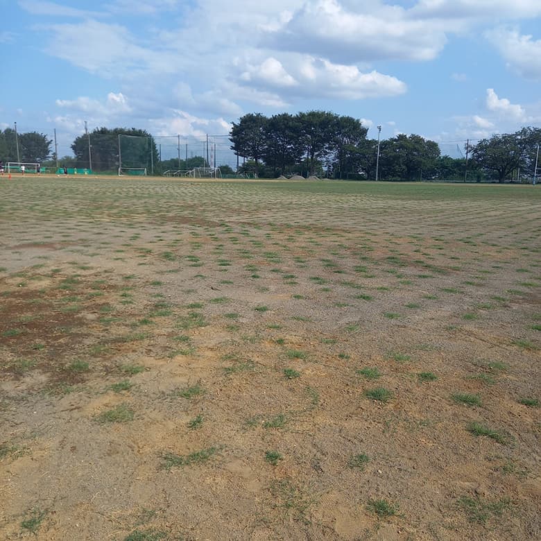 ティフトン/株式会社国分商会