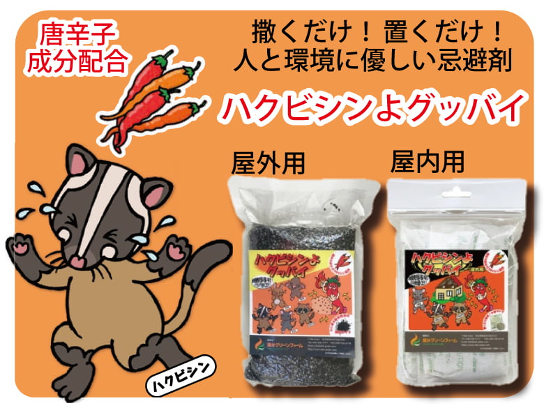 ハクビシンよグッバイ(屋外用/屋内用)/株式会社国分商会