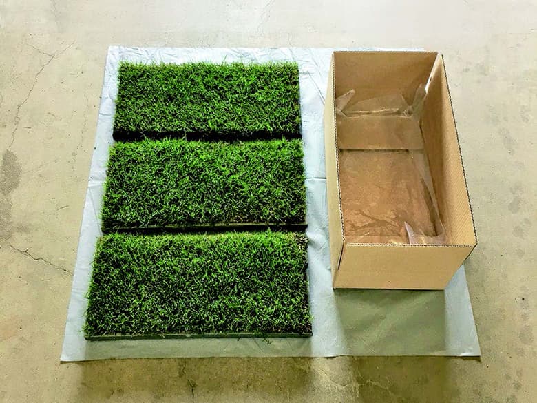 ティフトンマット / 株式会社国分商会