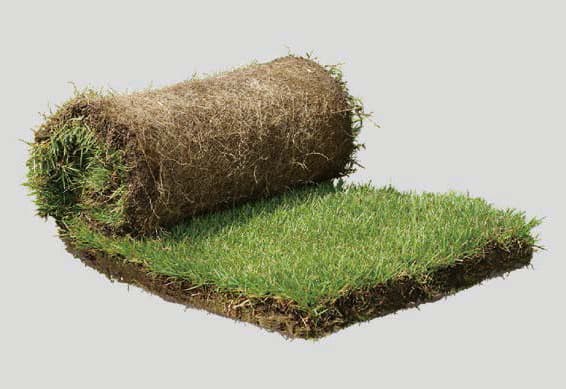 高麗芝マット / 株式会社国分商会