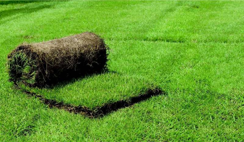 高麗芝マット / 株式会社国分商会