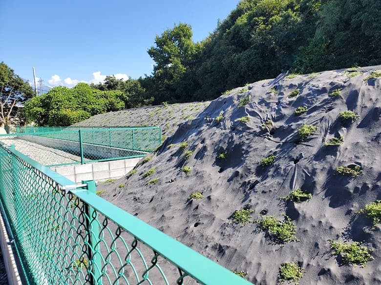 ヒメイワダレソウポット苗(56個)