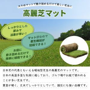 高麗芝(2ロール)1平米