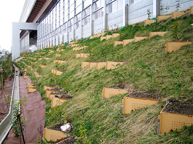 エコプランター/小泉製麻株式会社