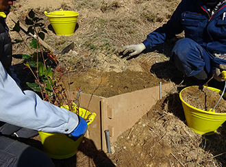 エコプランター