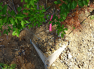 エコプランター