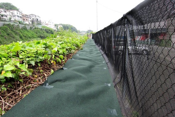 葛登攀対策ネット『バリオスネット』