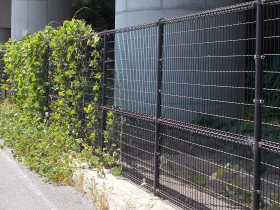 葛登攀対策ネット『バリオスネット』