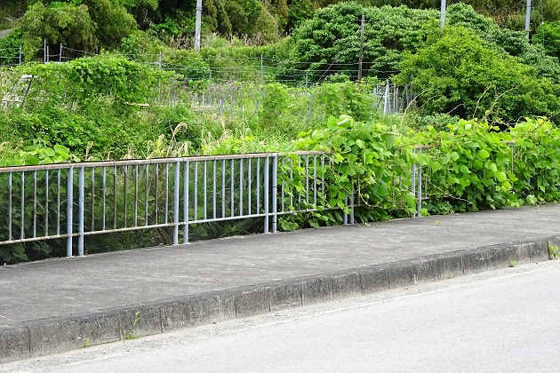 葛登攀対策ネット『バリオスネット』