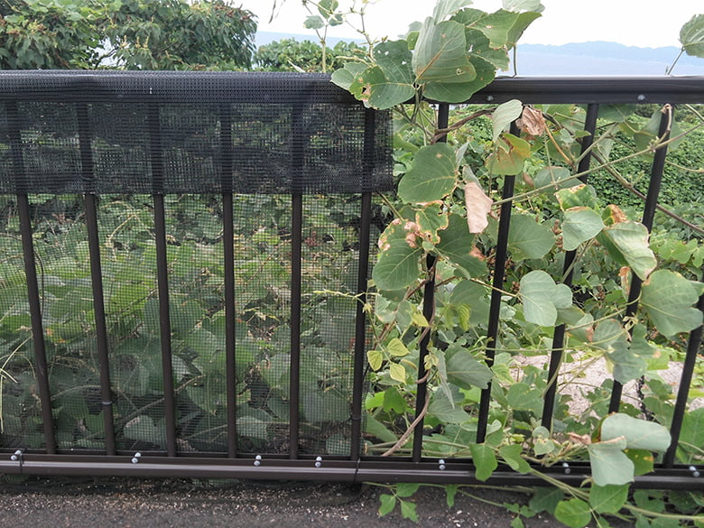 葛登攀対策ネット『バリオスネット』