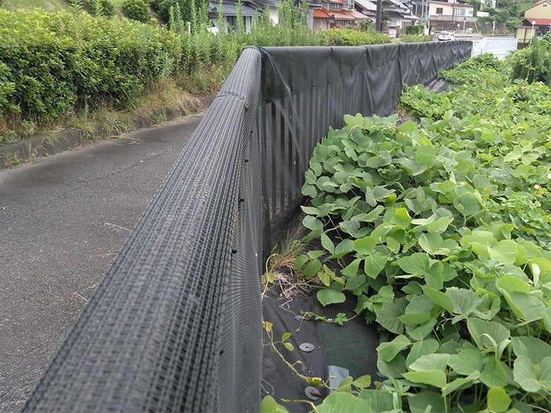 葛登攀対策ネット『バリオスネット』