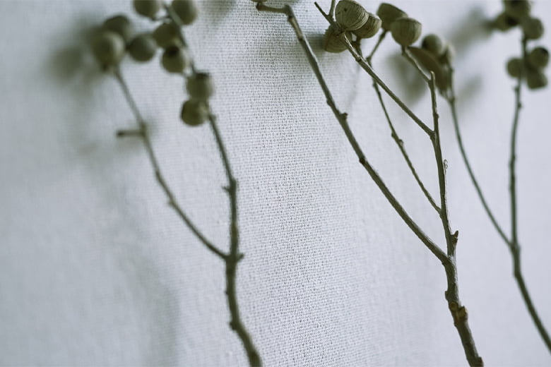 Aoi 葵(KYOTO IZUMI)|KYOTO IZUMI(小嶋織物株式会社)