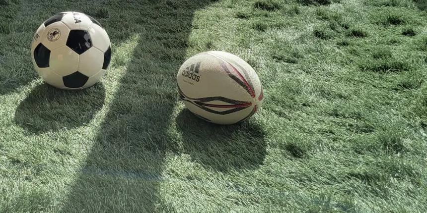 紙製人工芝「OJO⁺ / オージョ」