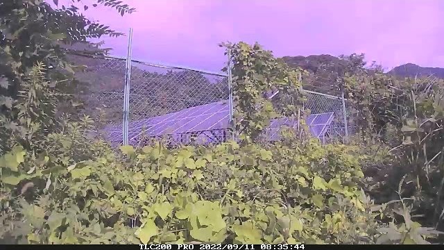 アイビーガード・カラマンコート検証動画/久野商事株式会社