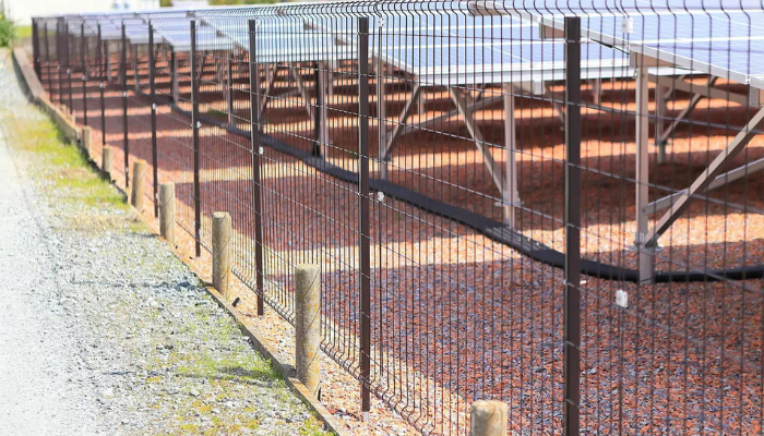 防ツル剤 アイビーガードカラマンコート