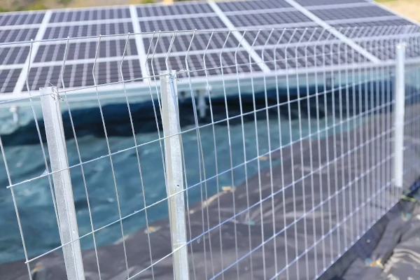 防ツル剤 アイビーガードカラマンコート