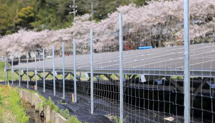 防ツル剤 アイビーガードカラマンコート