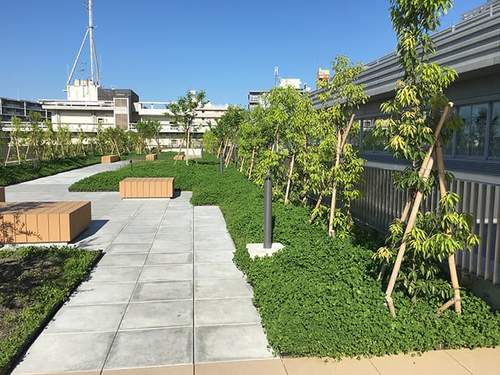 スクエアターフLight