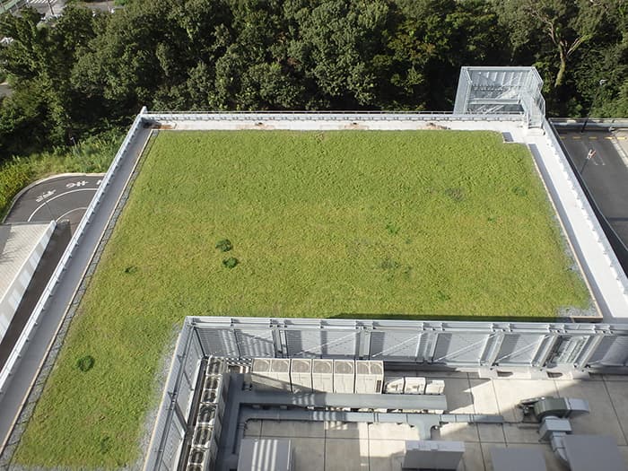 スクエアターフ洪水無用