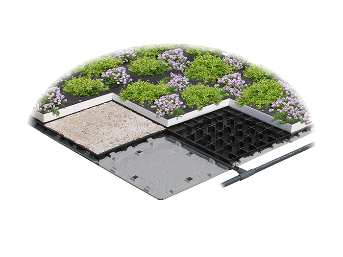 スクエアプランツ