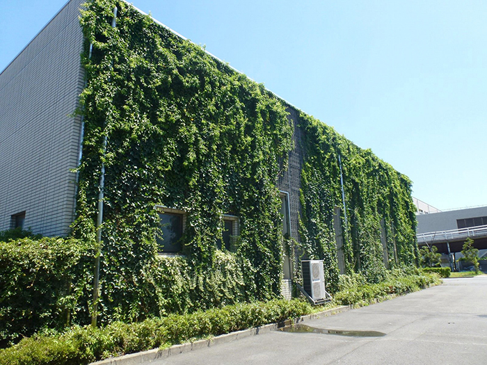 のぼるtoみどり(パネル)