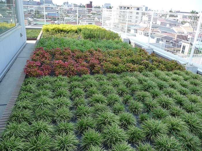 スクエアプランツ