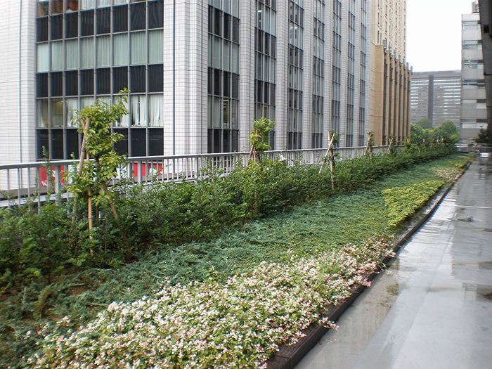 スクエアターフRain96