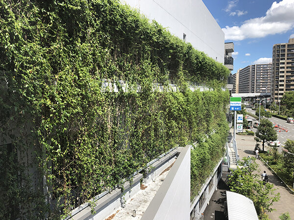 のぼるtoみどり(パネル)