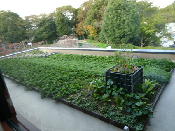 のぼるtoみどり(パネル)