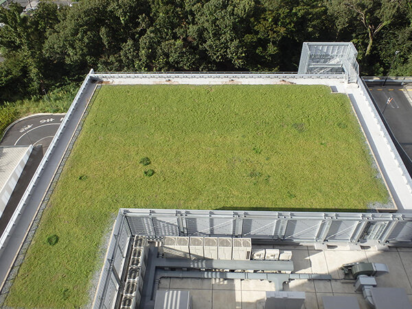 スクエアターフRain96