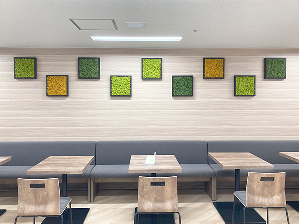 スクエアプランツ