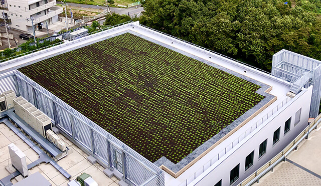 スクエアターフ洪水無用