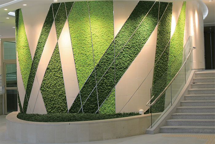 屋内緑化装飾材 “スカンディアモス”