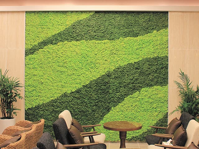 メンテナンスフリーの室内緑化製品“スカンディアモス”